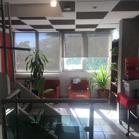 My Suite Ejecutiva Culiacán Buitenkant foto